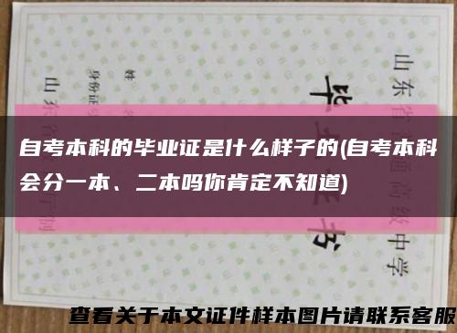 自考本科的畢業證是什么樣子的(自考本科會分一本、二本嗎你肯定不知道)縮略圖