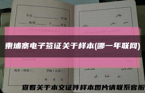 柬埔寨電子簽證關于樣本(哪一年聯網)縮略圖