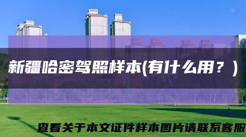 新疆哈密駕照樣本(有什么用？)縮略圖