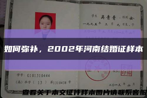 如何彌補，2002年河南結婚證樣本縮略圖