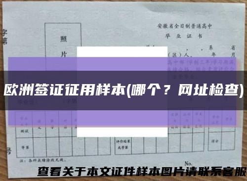 歐洲簽證征用樣本(哪個？網址檢查)縮略圖