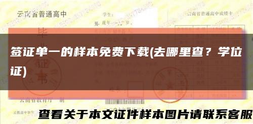 簽證單一的樣本免費下載(去哪里查？學位證)縮略圖