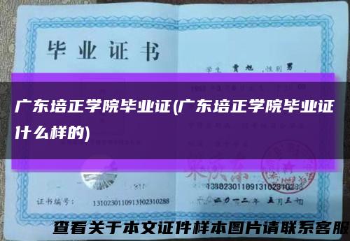 廣東培正學院畢業證(廣東培正學院畢業證什么樣的)縮略圖