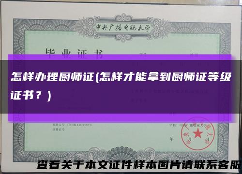 怎樣辦理廚師證(怎樣才能拿到廚師證等級證書？)縮略圖