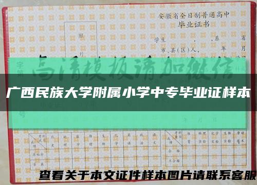 廣西民族大學附屬小學中專畢業證樣本縮略圖