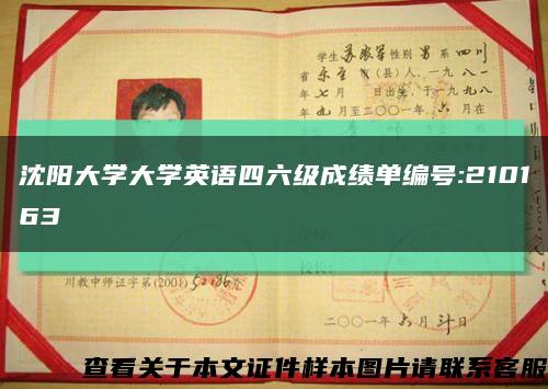 沈陽大學大學英語四六級成績單編號:210163縮略圖