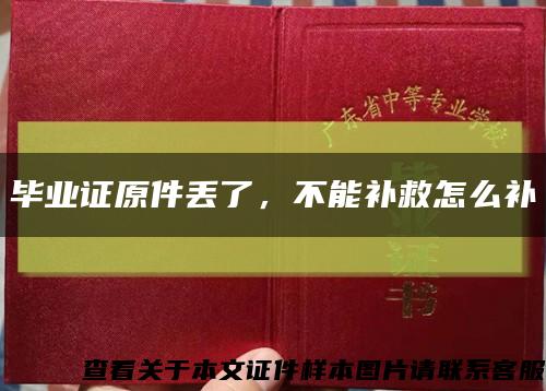 畢業證原件丟了，不能補救怎么補縮略圖
