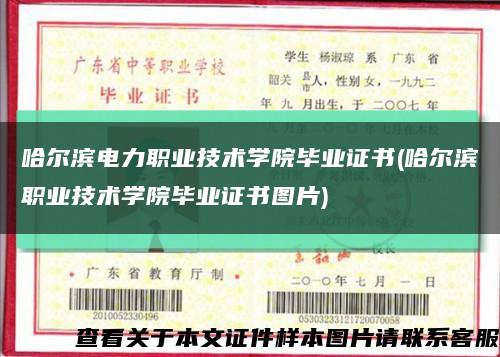 哈爾濱電力職業技術學院畢業證書(哈爾濱職業技術學院畢業證書圖片)縮略圖