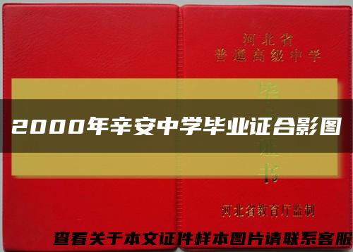 2000年辛安中學畢業證合影圖縮略圖
