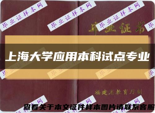 上海大學應用本科試點專業縮略圖