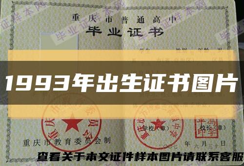1993年出生證書圖片縮略圖