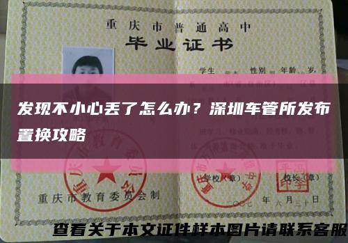 發現不小心丟了怎么辦？深圳車管所發布置換攻略縮略圖