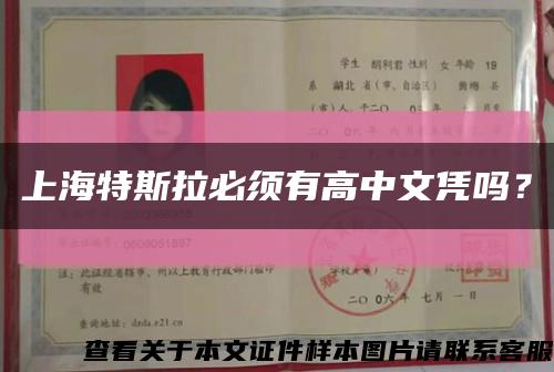 上海特斯拉必須有高中文憑嗎？縮略圖