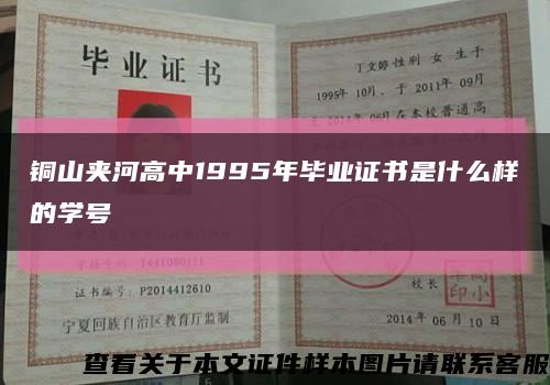 銅山夾河高中1995年畢業證書是什么樣的學號縮略圖