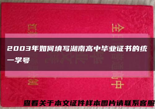 2003年如何填寫湖南高中畢業證書的統一學號縮略圖