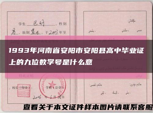 1993年河南省安陽市安陽縣高中畢業證上的九位數學號是什么意縮略圖