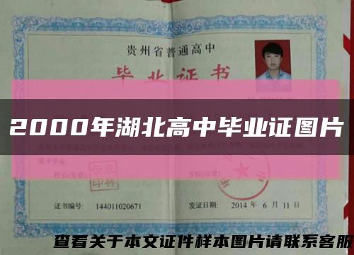2000年湖北高中畢業證圖片縮略圖