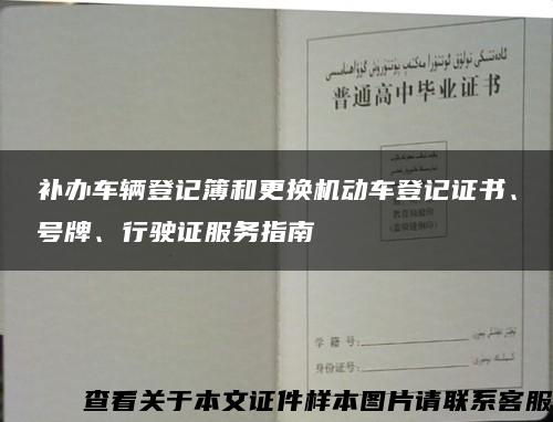 補辦車輛登記簿和更換機動車登記證書、號牌、行駛證服務指南縮略圖