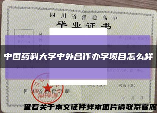 中國藥科大學中外合作辦學項目怎么樣縮略圖