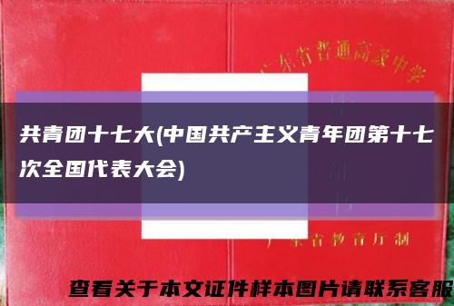 共青團十七大(中國共產主義青年團第十七次全國代表大會)縮略圖