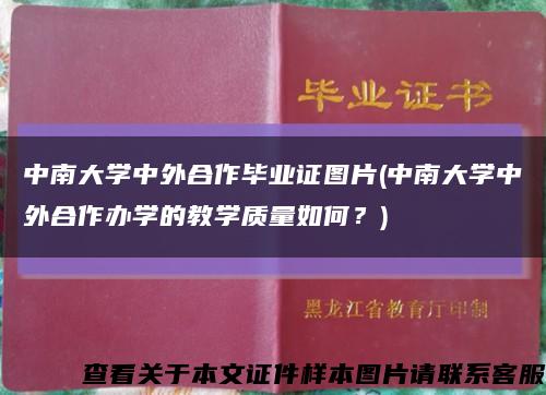 中南大學中外合作畢業證圖片(中南大學中外合作辦學的教學質量如何？)縮略圖