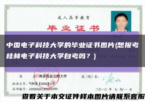 中國電子科技大學的畢業證書圖片(想報考桂林電子科技大學自考嗎？)縮略圖