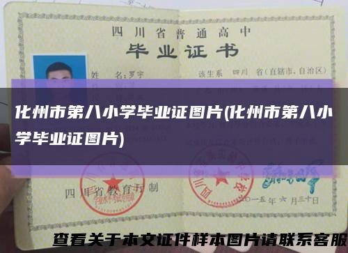 化州市第八小學畢業證圖片(化州市第八小學畢業證圖片)縮略圖