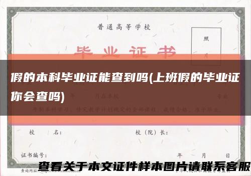 假的本科畢業證能查到嗎(上班假的畢業證你會查嗎)縮略圖