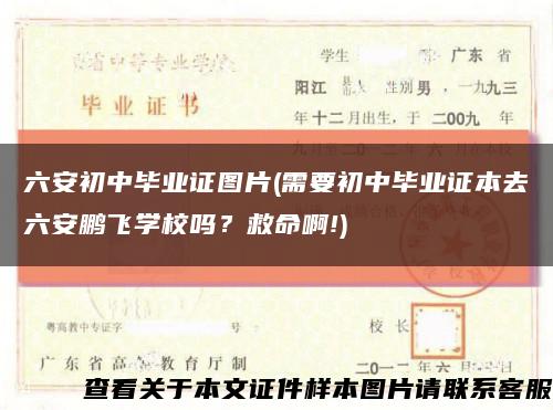 六安初中畢業證圖片(需要初中畢業證本去六安鵬飛學校嗎？救命啊!)縮略圖