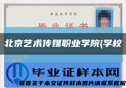北京藝術傳媒職業學院(學?？s略圖