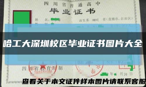 哈工大深圳校區畢業證書圖片大全縮略圖