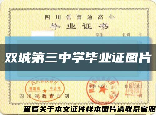 雙城第三中學畢業證圖片縮略圖
