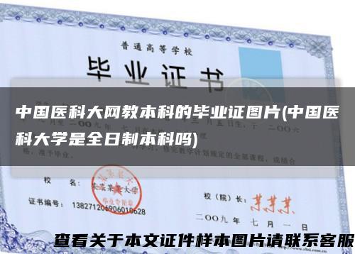 中國醫科大網教本科的畢業證圖片(中國醫科大學是全日制本科嗎)縮略圖