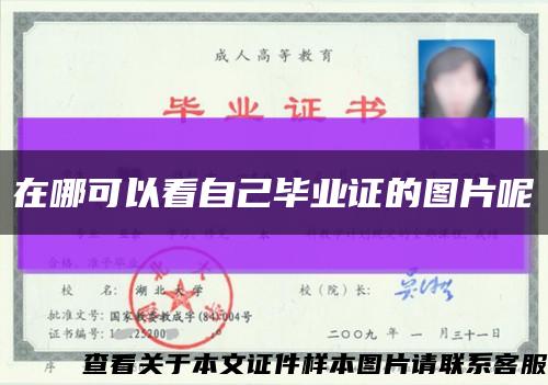 在哪可以看自己畢業證的圖片呢縮略圖