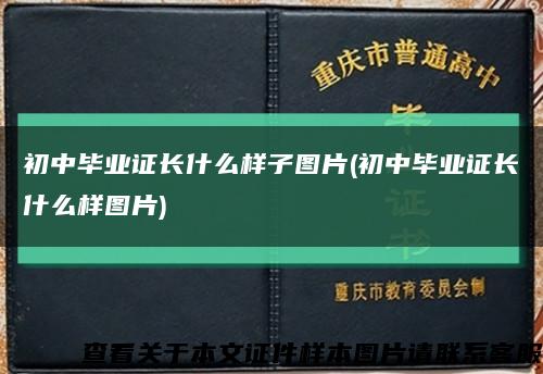 初中畢業證長什么樣子圖片(初中畢業證長什么樣圖片)縮略圖