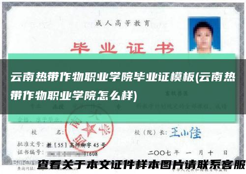云南熱帶作物職業學院畢業證模板(云南熱帶作物職業學院怎么樣)縮略圖
