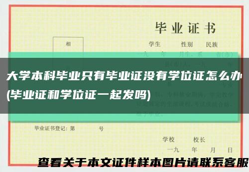大學本科畢業只有畢業證沒有學位證怎么辦(畢業證和學位證一起發嗎)縮略圖
