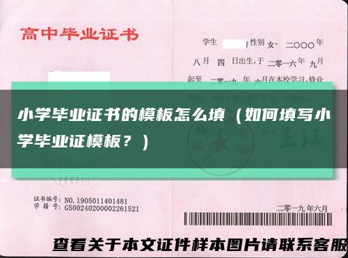 小學畢業證書的模板怎么填（如何填寫小學畢業證模板？）縮略圖
