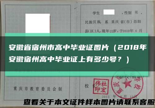 安徽省宿州市高中畢業證圖片（2018年安徽宿州高中畢業證上有多少號？）縮略圖