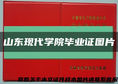 山東現代學院畢業證圖片縮略圖