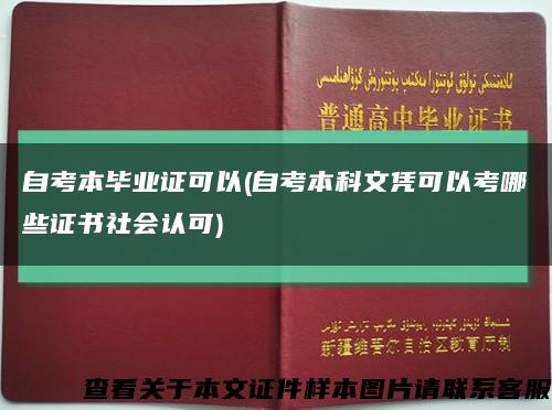 自考本畢業證可以(自考本科文憑可以考哪些證書社會認可)縮略圖