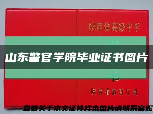 山東警官學院畢業證書圖片縮略圖