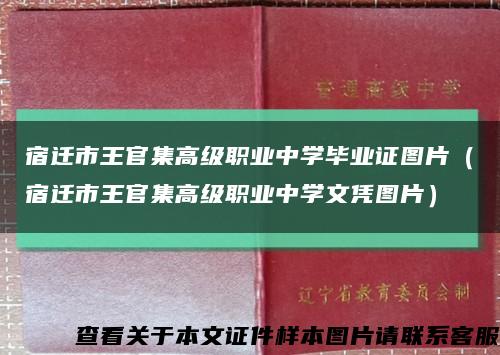 宿遷市王官集高級職業中學畢業證圖片（宿遷市王官集高級職業中學文憑圖片）縮略圖