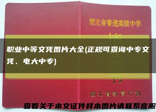 職業中等文憑圖片大全(正規可查詢中專文憑、電大中專)縮略圖
