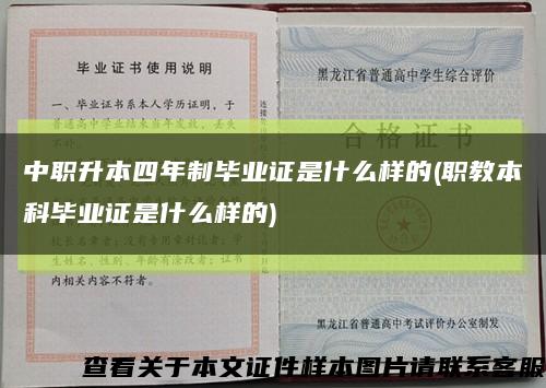中職升本四年制畢業證是什么樣的(職教本科畢業證是什么樣的)縮略圖