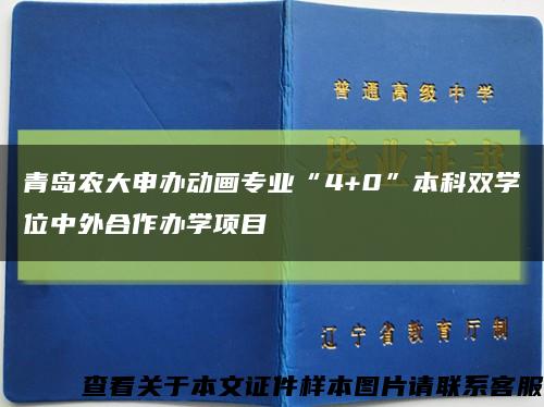 青島農大申辦動畫專業“4+0”本科雙學位中外合作辦學項目縮略圖
