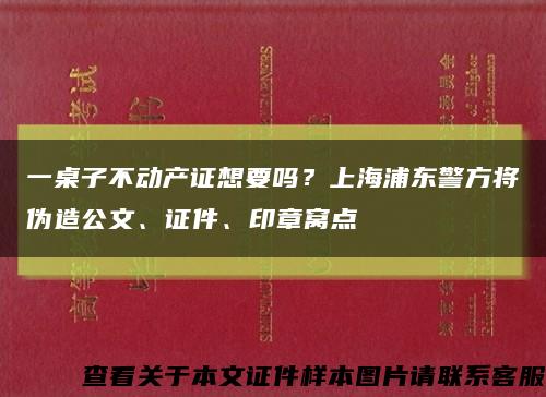 一桌子不動產證想要嗎？上海浦東警方將偽造公文、證件、印章窩點縮略圖