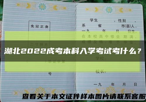 湖北2022成考本科入學考試考什么？縮略圖