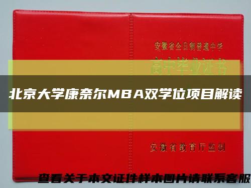 北京大學康奈爾MBA雙學位項目解讀縮略圖