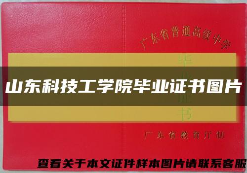 山東科技工學院畢業證書圖片縮略圖